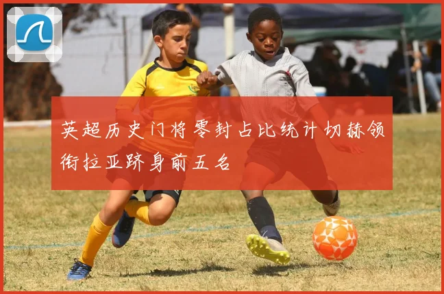 英超历史门将零封占比统计切赫领衔拉亚跻身前五名